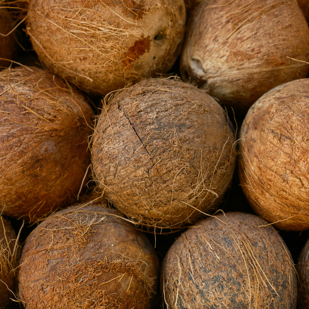 Coconut Oil: The Most Misunderstood Ingredient in Skincare