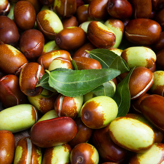 Jojoba: The Plant Wax That Acts Like Skin