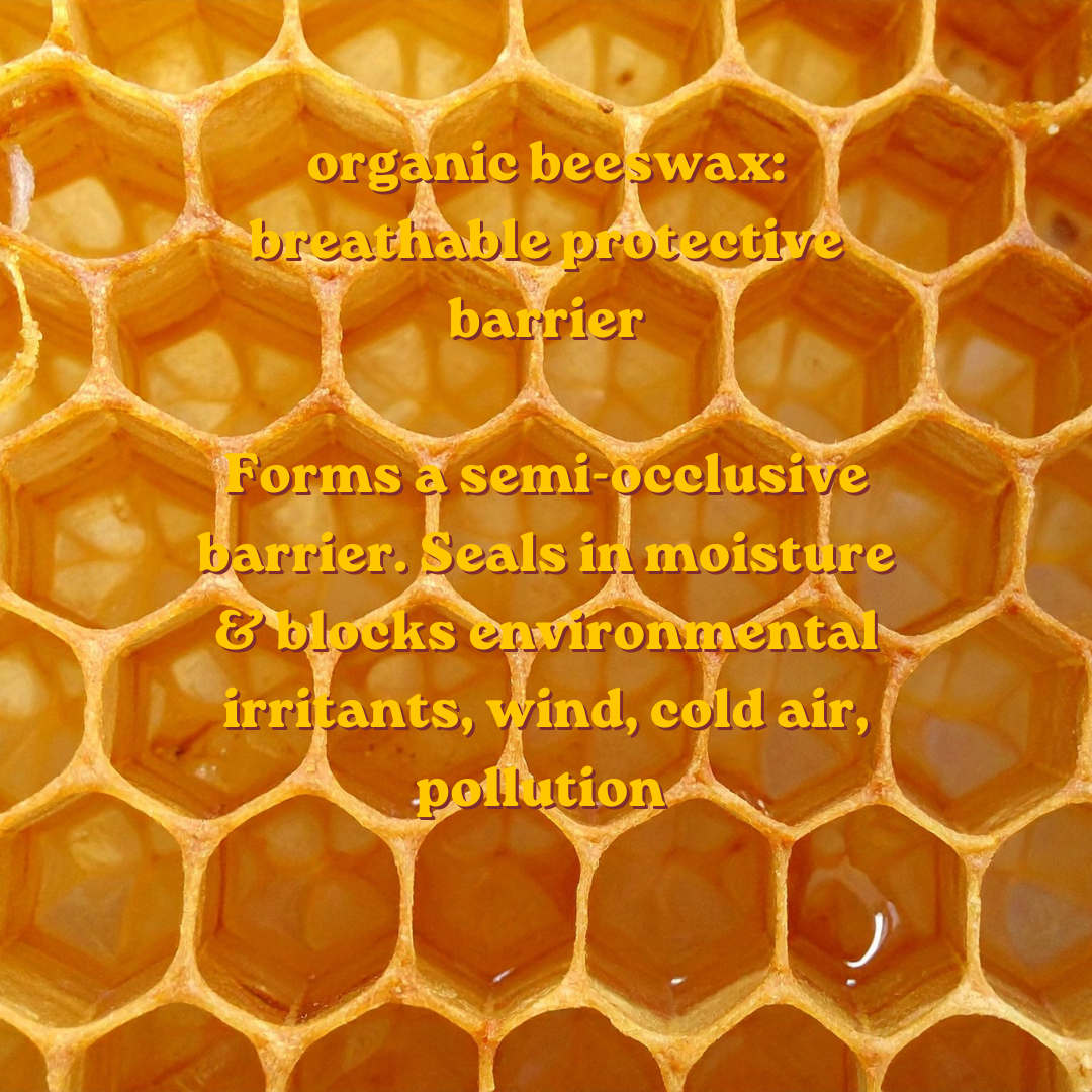 Organic Beeswax and Why Source Matters