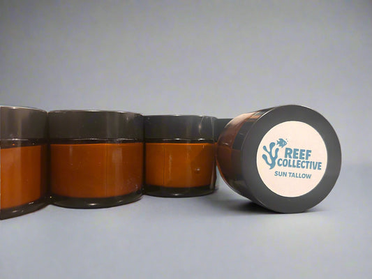 Three containers of Reef Collective Sun Tallow with a fourth container open on a gray background